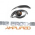 Big Brother Amplified